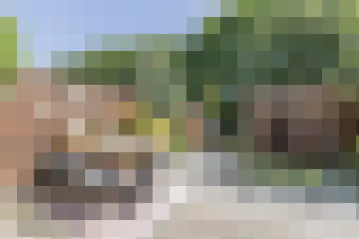 Gebint 31 Oosterhout thumbnail 27