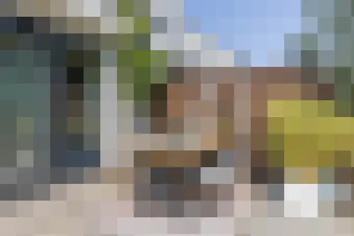 Gebint 31 Oosterhout thumbnail 28
