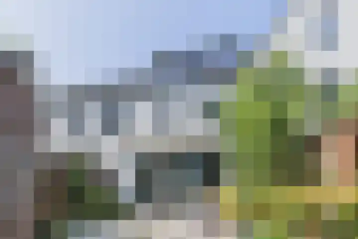 Gebint 31 Oosterhout thumbnail 29