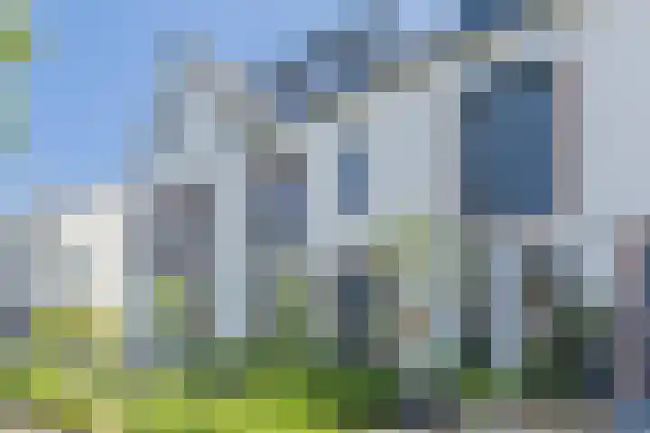 Gebint 31 Oosterhout thumbnail 30