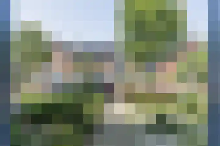 Gebint 31 Oosterhout thumbnail 32