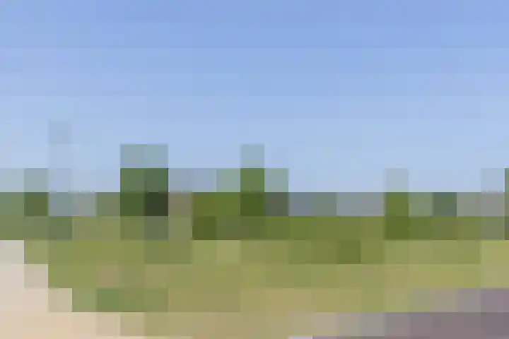 Gebint 31 Oosterhout thumbnail 34
