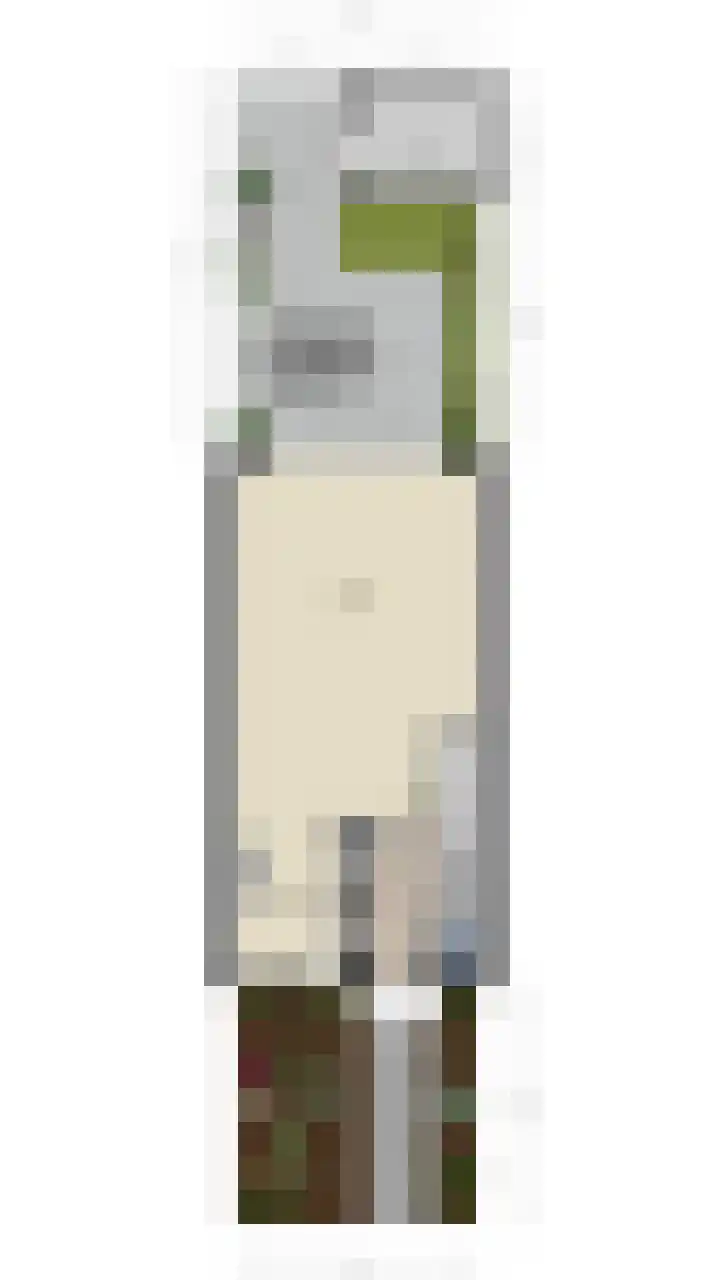 Gebint 31 Oosterhout thumbnail 35