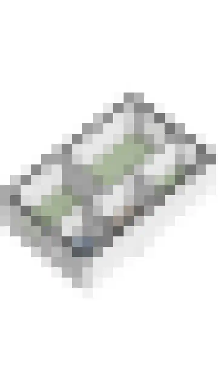 Gebint 31 Oosterhout thumbnail 42