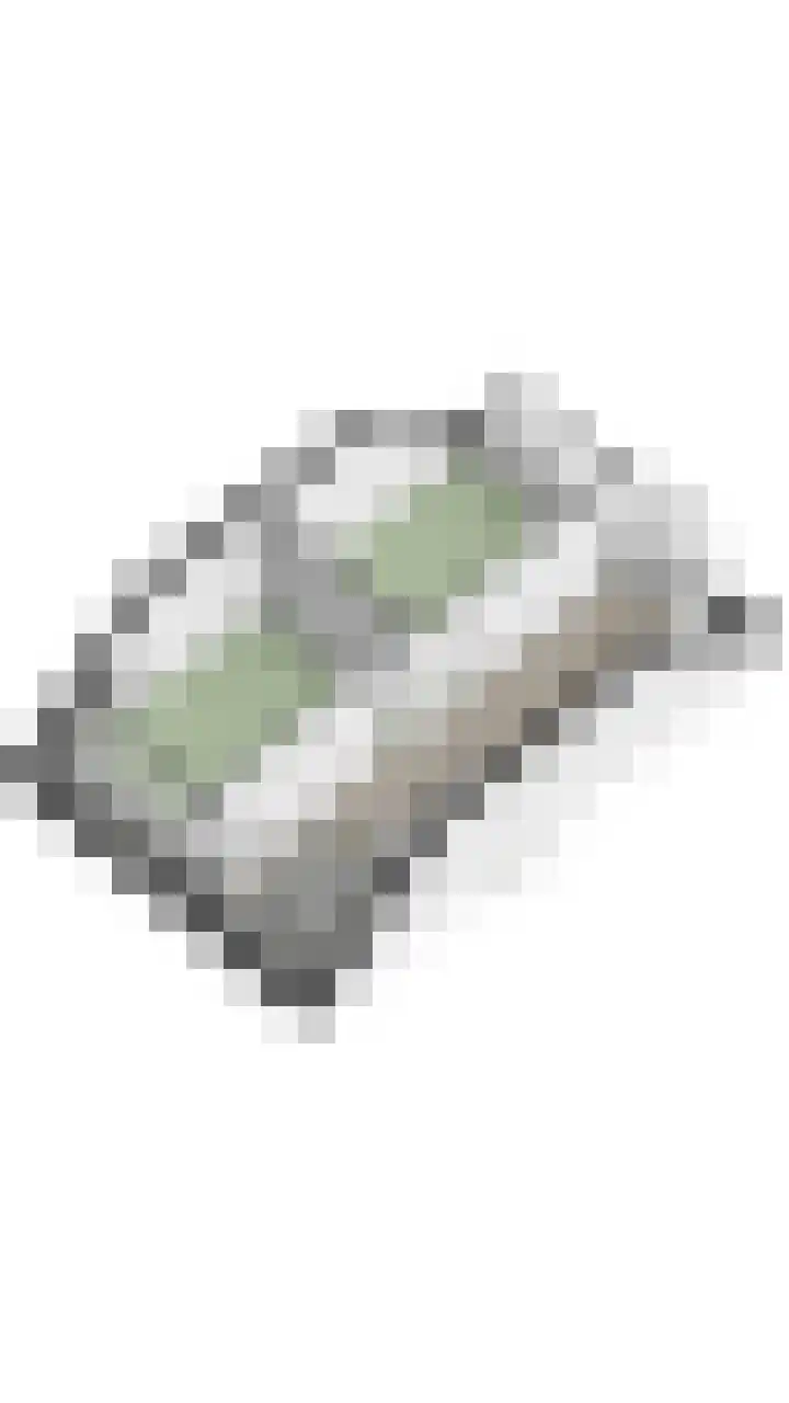 Gebint 31 Oosterhout thumbnail 43