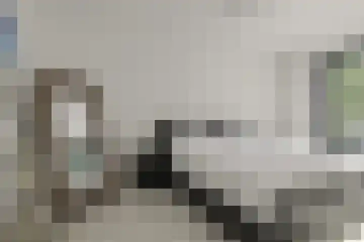 Gebint 39 Oosterhout thumbnail 14