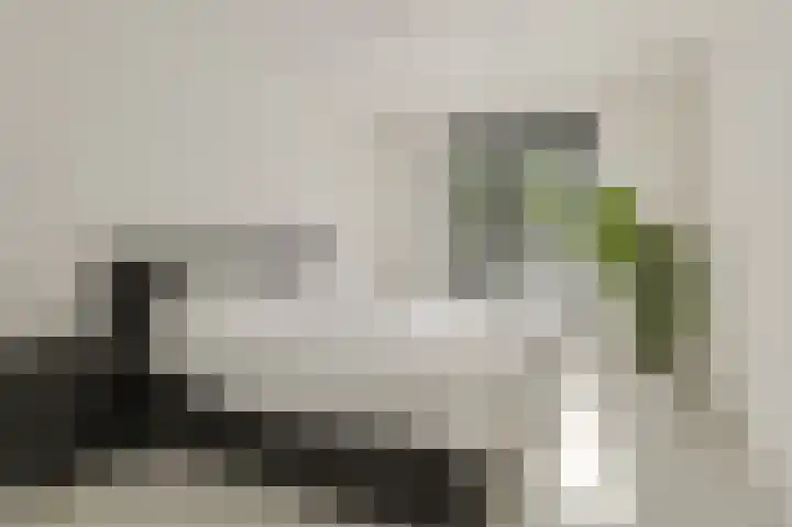 Gebint 39 Oosterhout thumbnail 15