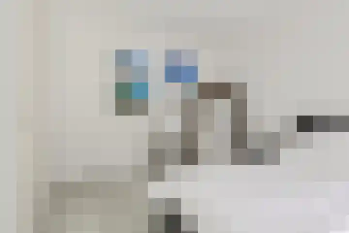Gebint 39 Oosterhout thumbnail 16