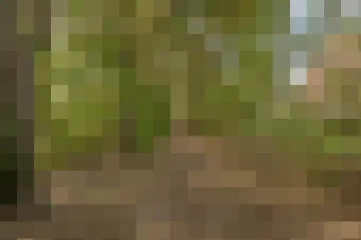 Gebint 39 Oosterhout thumbnail 32