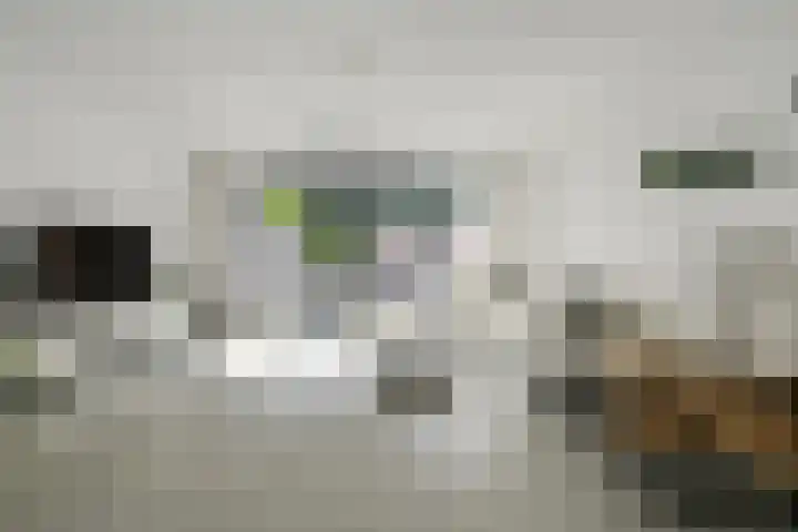 Gebint 39 Oosterhout thumbnail 4