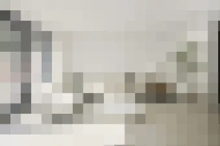 Gebint 39 Oosterhout thumbnail 5