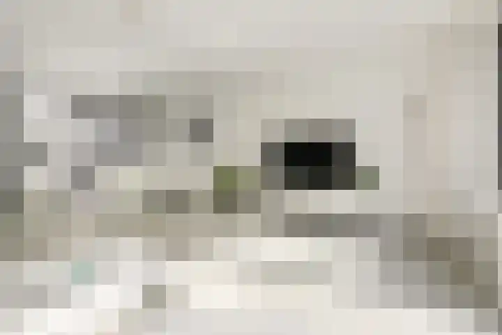 Gebint 39 Oosterhout thumbnail 6