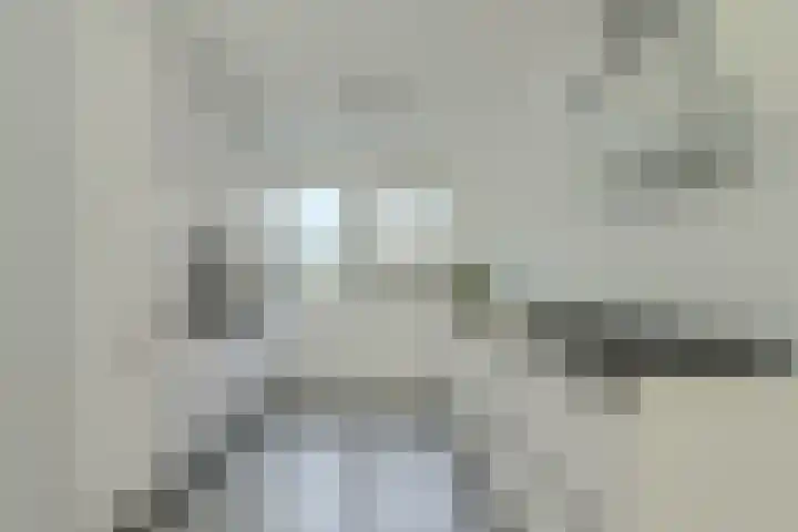 Gebint 39 Oosterhout thumbnail 9