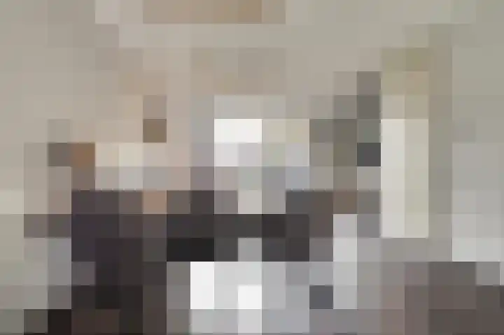 Gebint 43 Eersel thumbnail 11