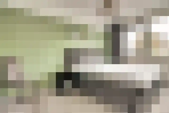 Gebint 43 Eersel thumbnail 15