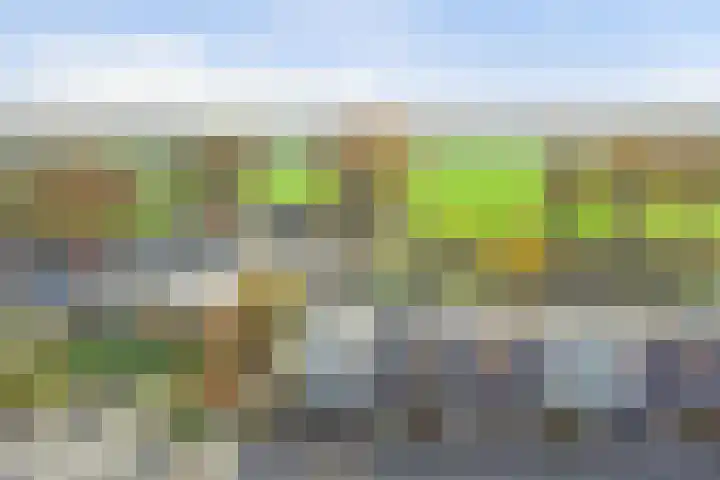 Gebint 43 Eersel thumbnail 25