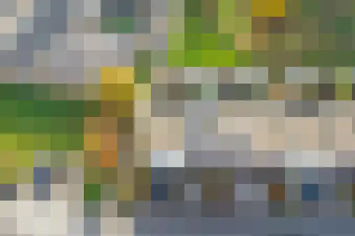 Gebint 43 Eersel thumbnail 27