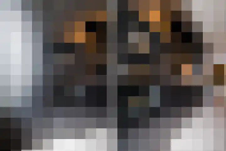 Gebint 88 Oosterhout thumbnail 12