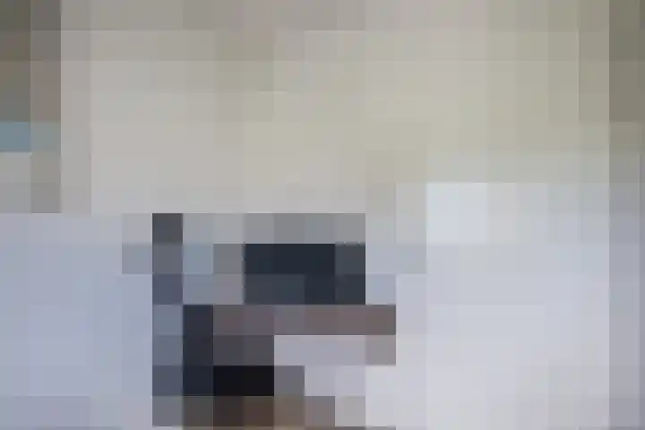 Gebint 88 Oosterhout thumbnail 20