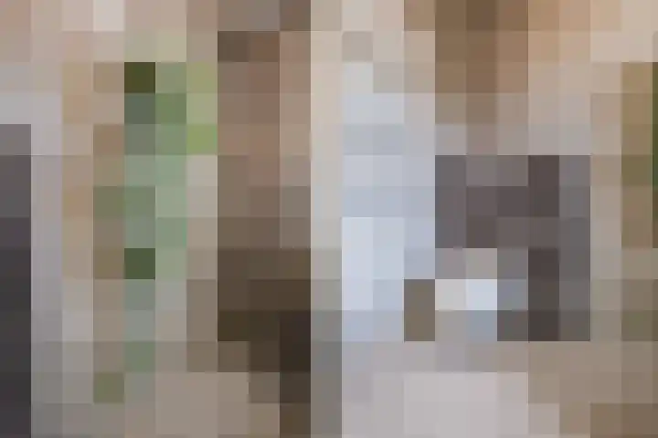 Gebint 88 Oosterhout thumbnail 23