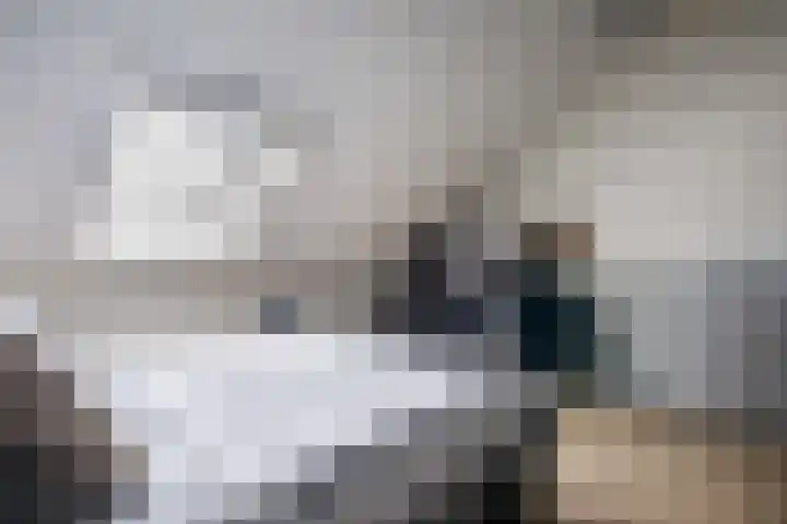 Gebint 88 Oosterhout thumbnail 27