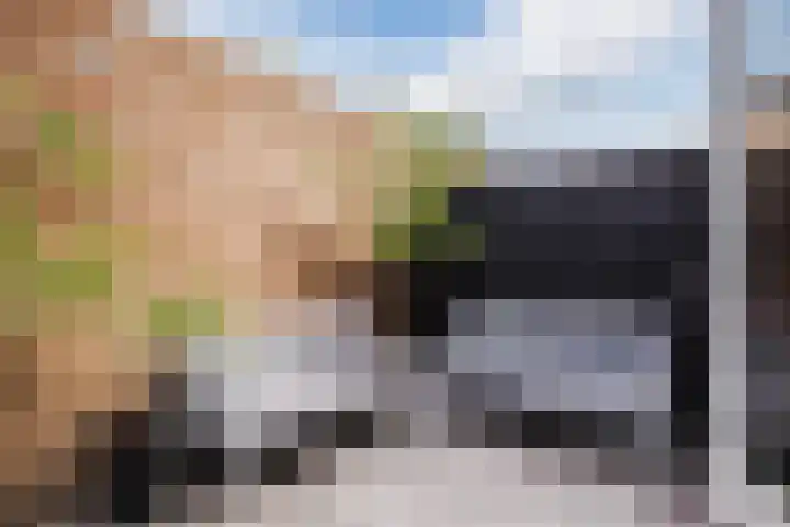 Gebint 88 Oosterhout thumbnail 28