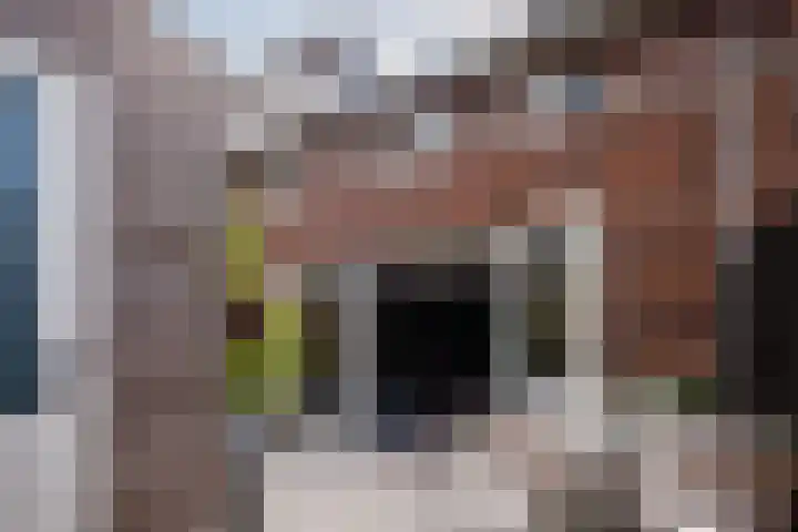 Gebint 88 Oosterhout thumbnail 29