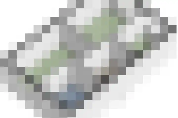 Gebint 88 Oosterhout thumbnail 39