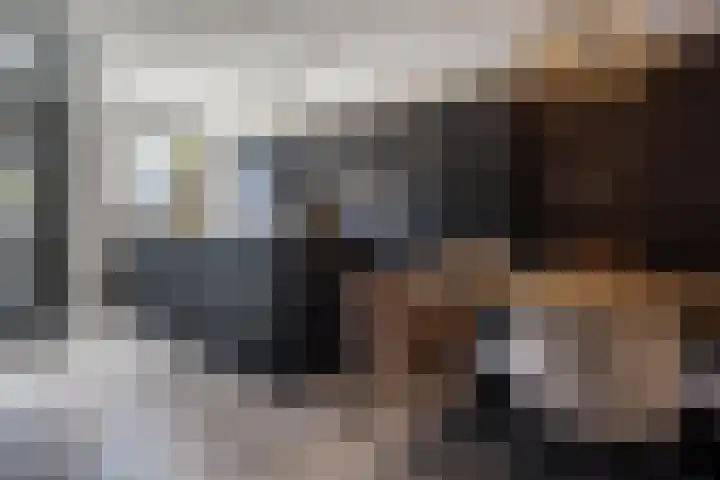 Gebint 88 Oosterhout thumbnail 9