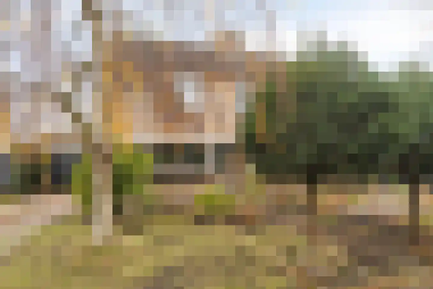 Gebr. Conijnstraat 19 Purmerend thumbnail 22