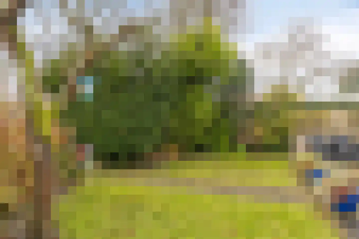 Gebr. Conijnstraat 19 Purmerend thumbnail 24