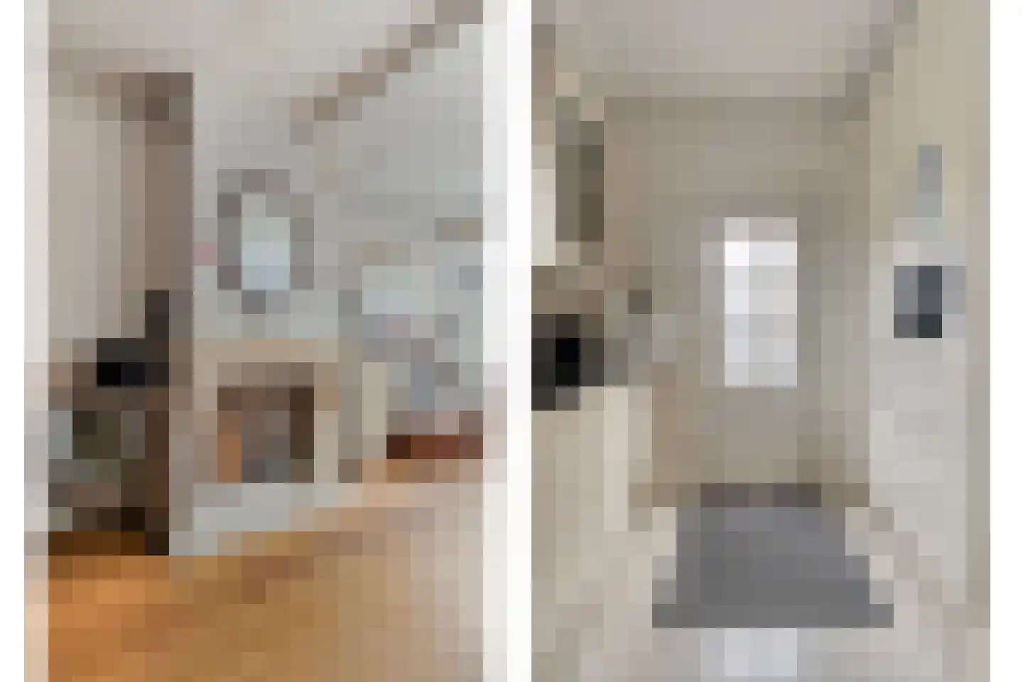 Gebr. Conijnstraat 19 Purmerend thumbnail 8