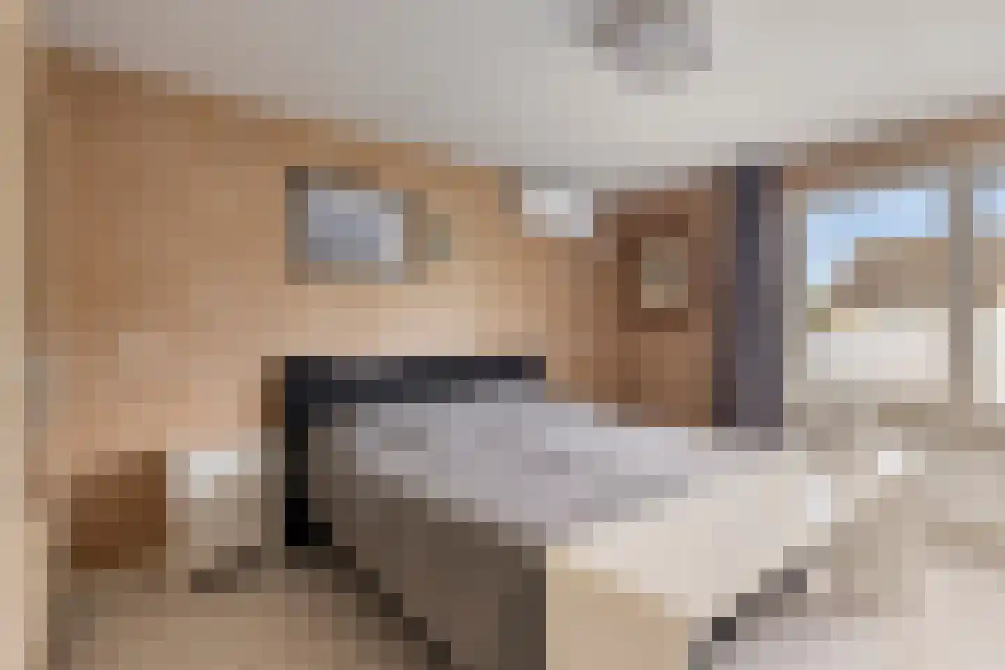 Gebr. Conijnstraat 36 Purmerend thumbnail 18