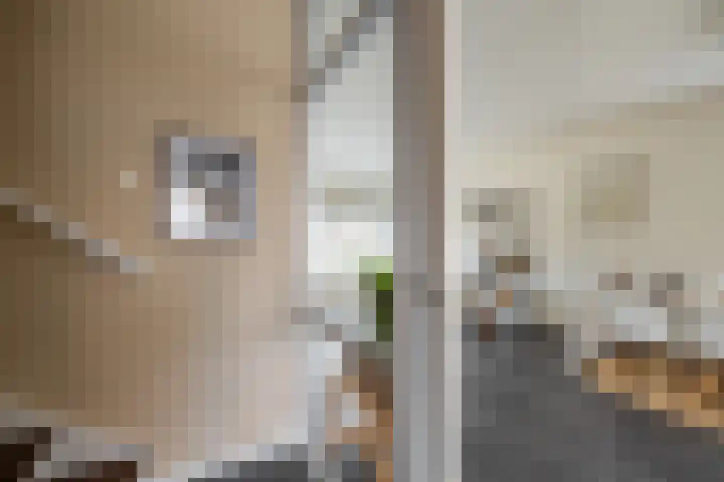 Gebr. Conijnstraat 41 Purmerend thumbnail 11