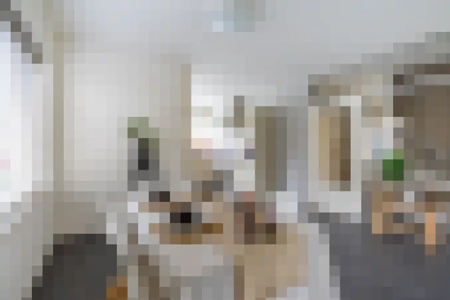 Gebr. Conijnstraat 41 Purmerend thumbnail 17