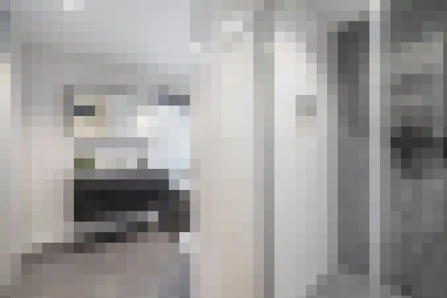 Gebr. Conijnstraat 41 Purmerend thumbnail 30