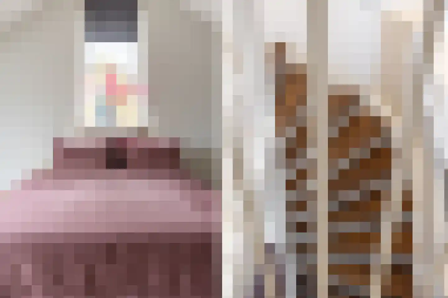 Gebr. Conijnstraat 41 Purmerend thumbnail 36