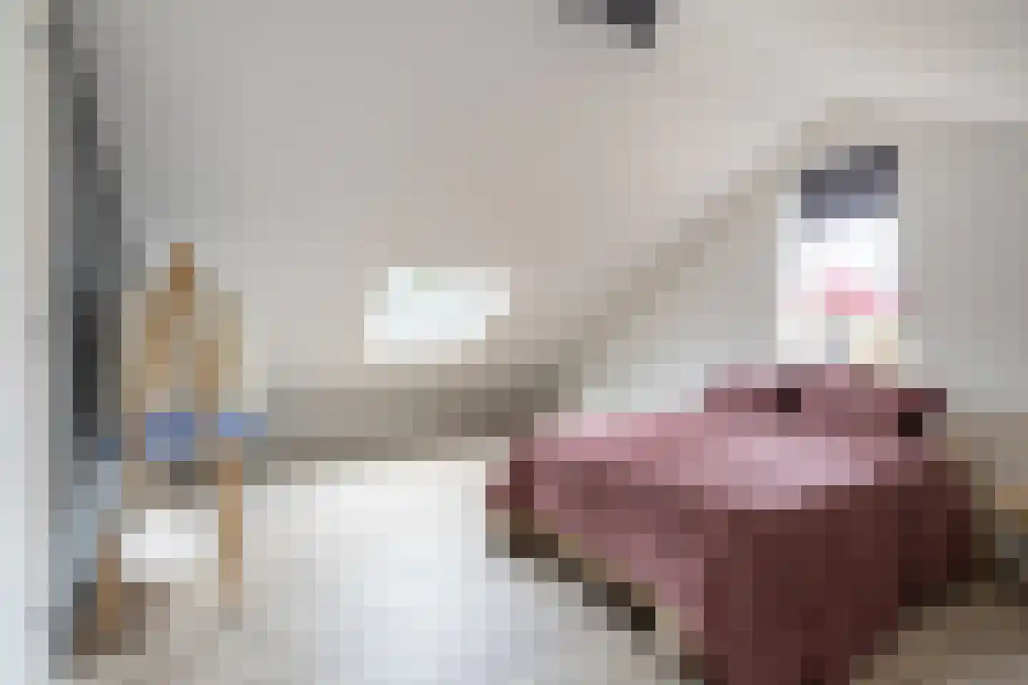 Gebr. Conijnstraat 41 Purmerend thumbnail 37