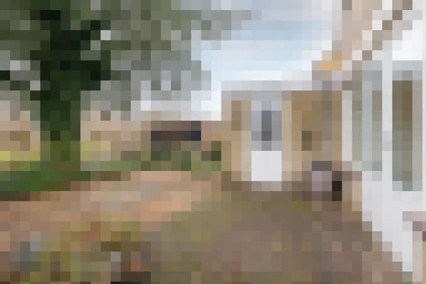 Gebr. Conijnstraat 41 Purmerend thumbnail 38