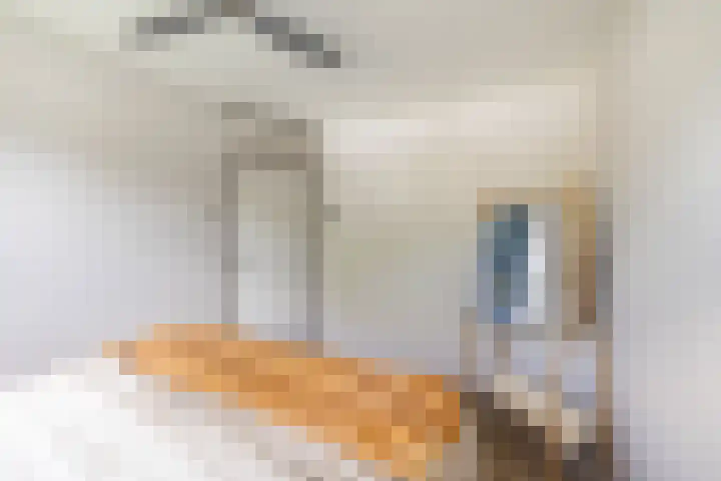 Gebr. Conijnstraat 81 Purmerend thumbnail 23