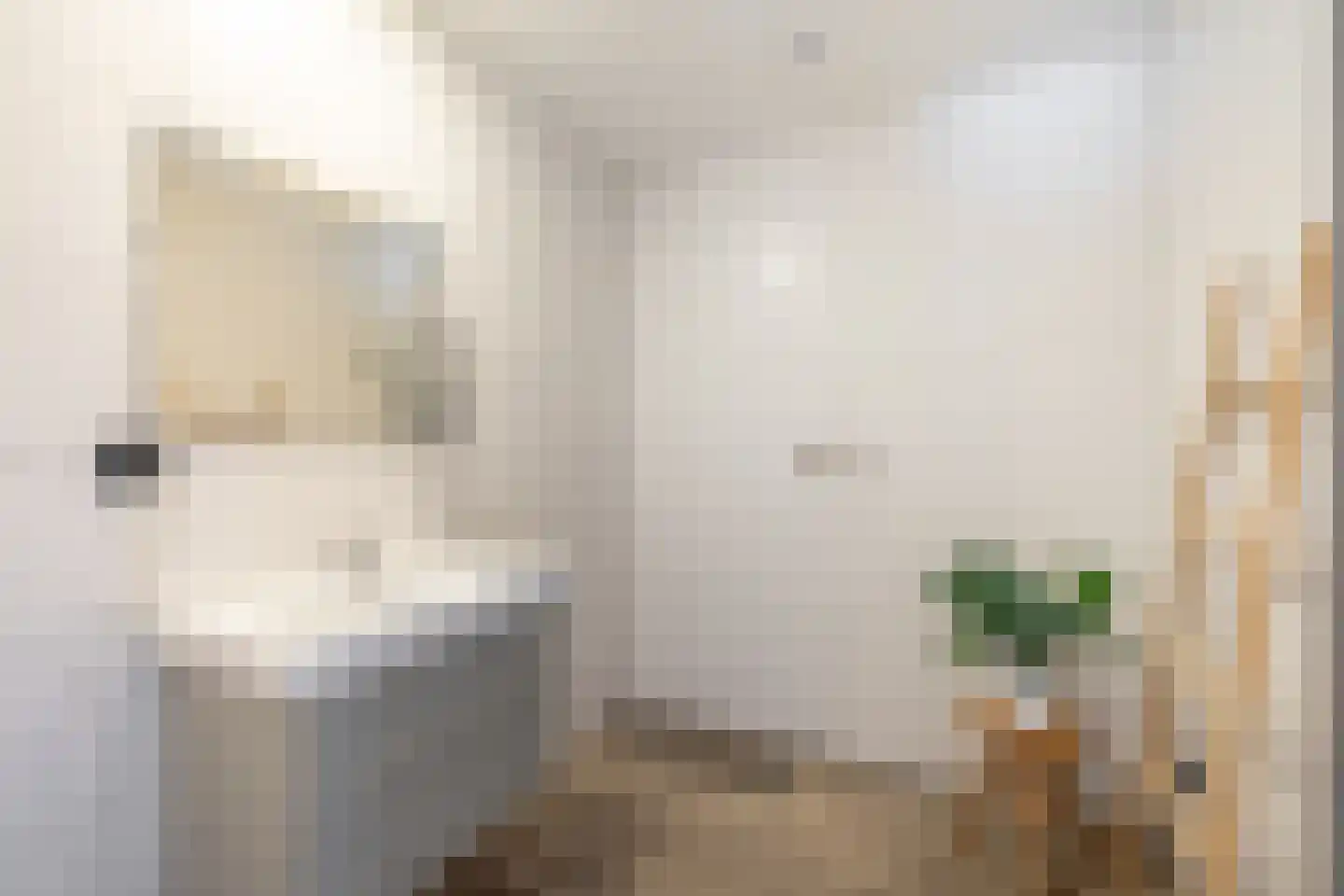 Gebr. Conijnstraat 81 Purmerend thumbnail 24