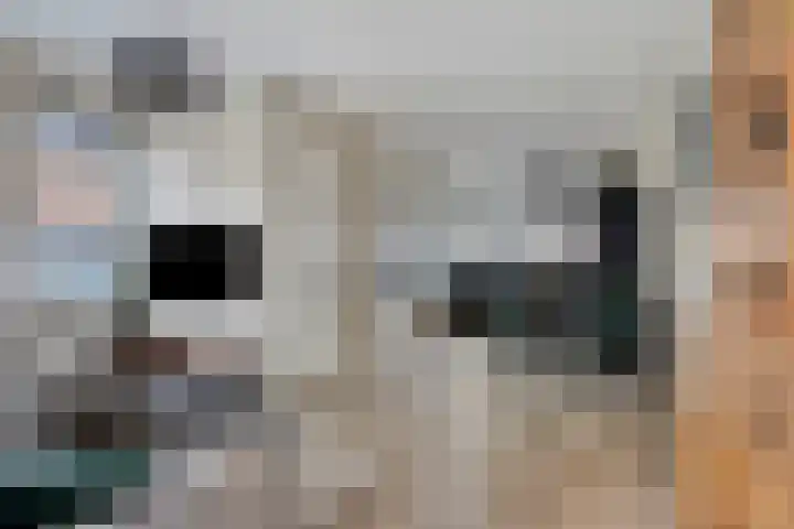 Gebr. Douvenstraat 2 Horst thumbnail 10