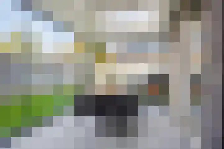 Gebr. Douvenstraat 2 Horst thumbnail 18