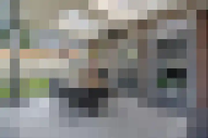 Gebr. Douvenstraat 2 Horst thumbnail 20