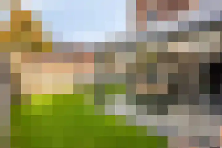 Gebr. Douvenstraat 2 Horst thumbnail 36