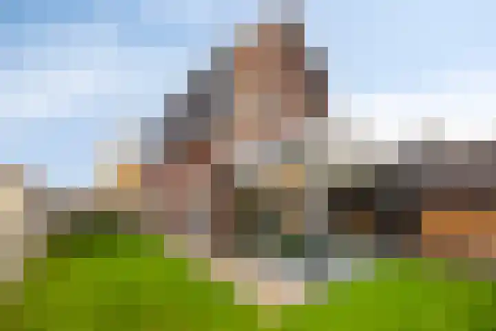 Gebr. Douvenstraat 2 Horst thumbnail 38