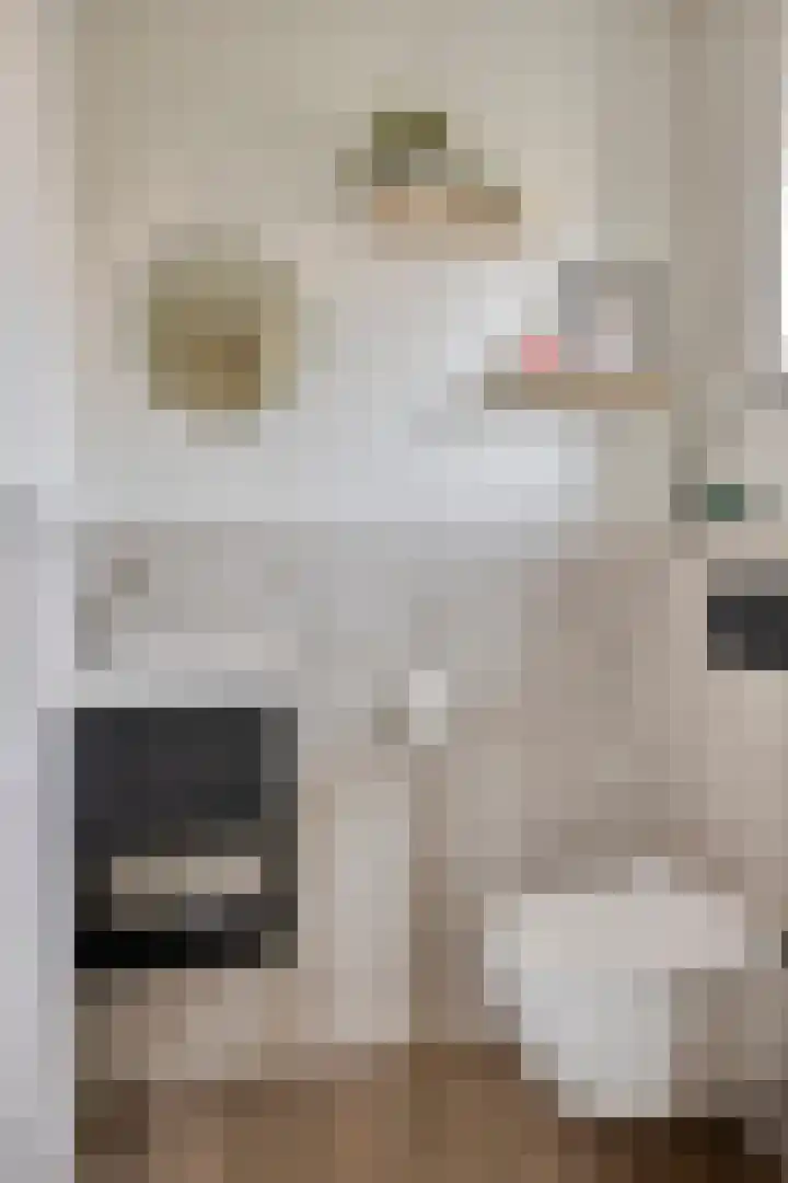 Gebr. Douvenstraat 2 Horst thumbnail 8