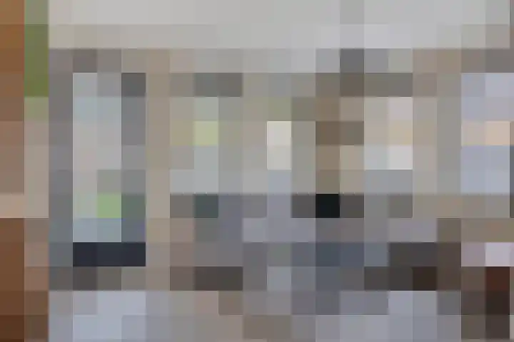 Gebr. Douvenstraat 2 Horst thumbnail 9