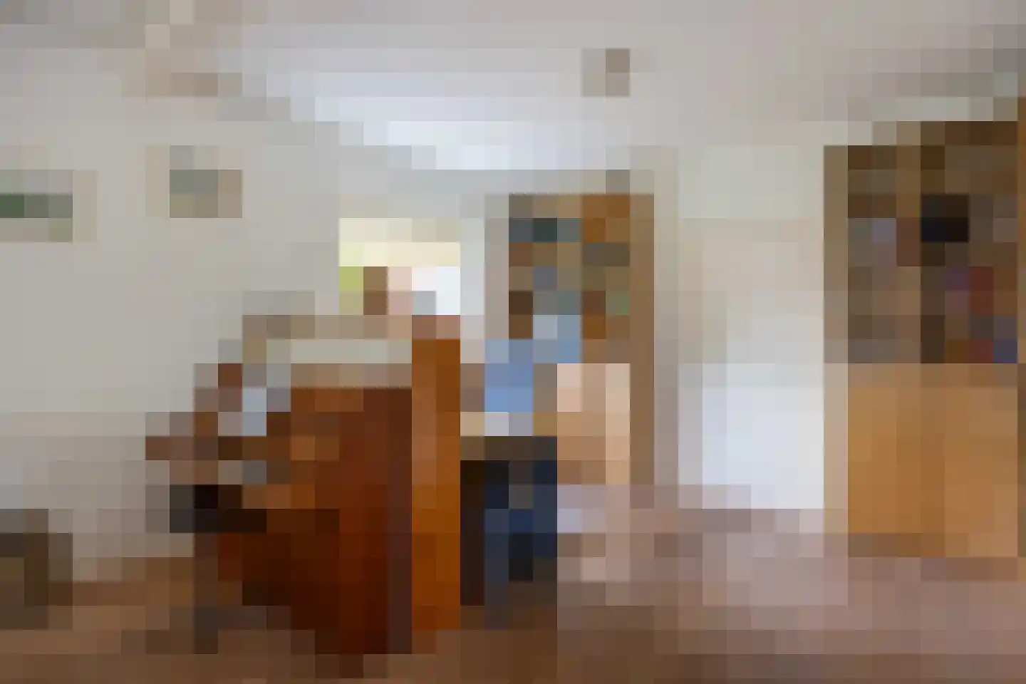 Gebr Gootjesstraat 21 Baflo thumbnail 18