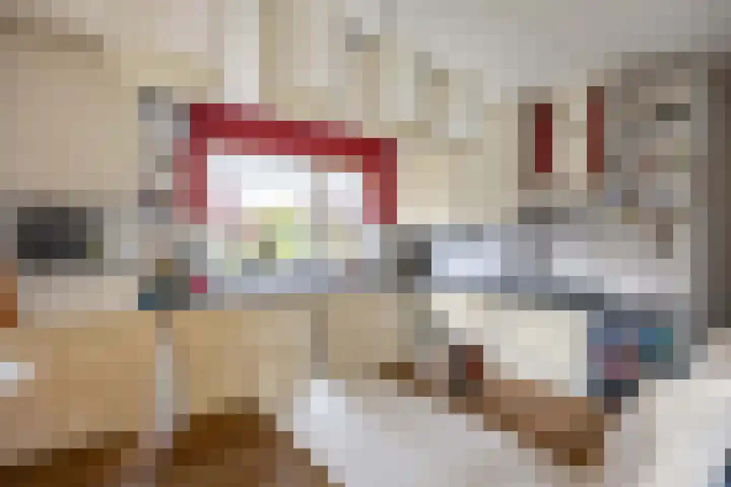 Gebr Gootjesstraat 21 Baflo thumbnail 26